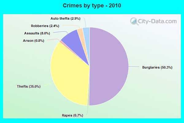 Crimes by type - 2010