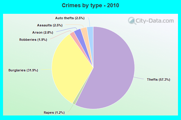 Crimes by type - 2010