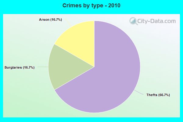 Crimes by type - 2010