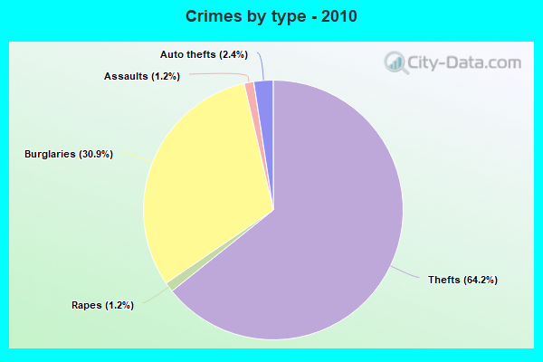 Crimes by type - 2010