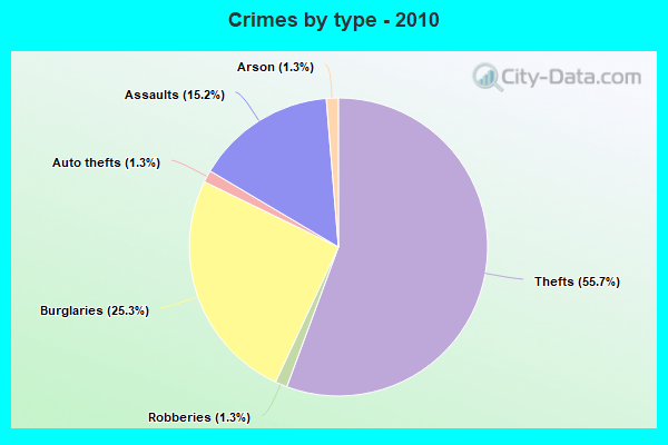 Crimes by type - 2010