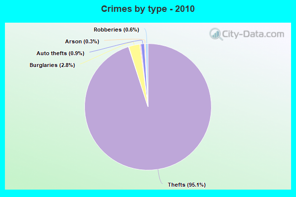 Crimes by type - 2010