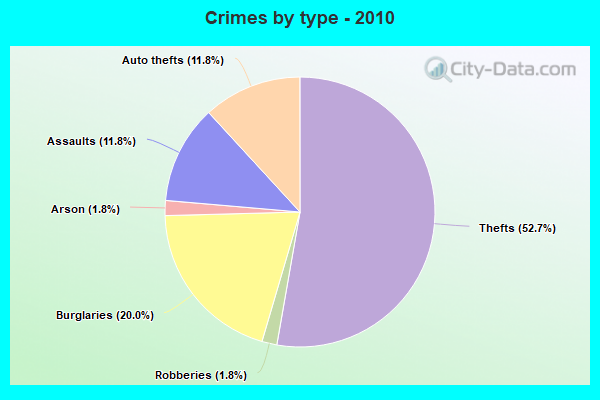 Crimes by type - 2010