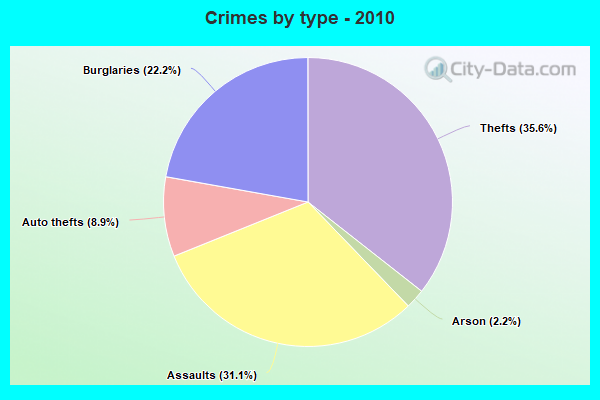 Crimes by type - 2010