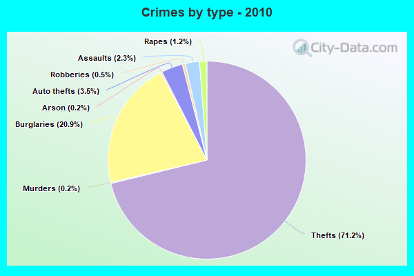 Crimes by type - 2010