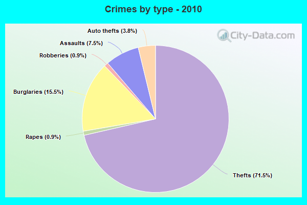 Crimes by type - 2010