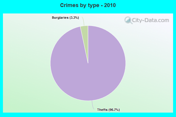 Crimes by type - 2010