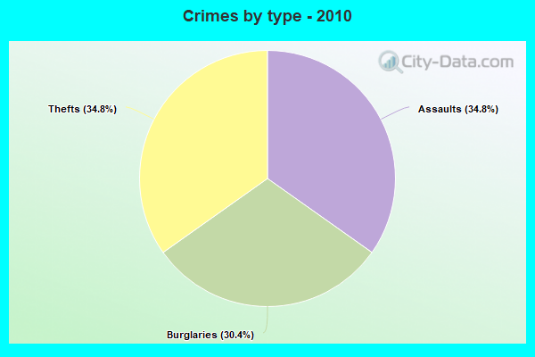 Crimes by type - 2010