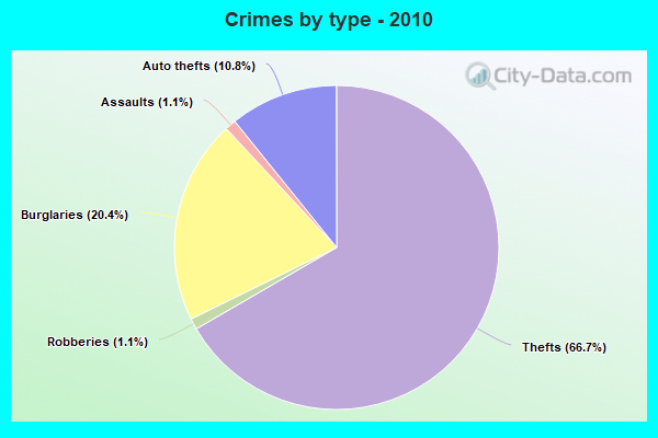 Crimes by type - 2010