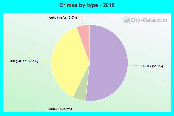 Crimes by type - 2010