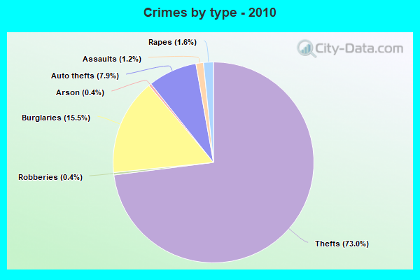 Crimes by type - 2010