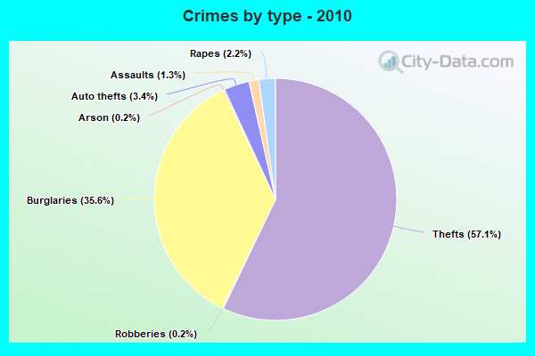 Crimes by type - 2010