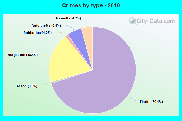 Crimes by type - 2010