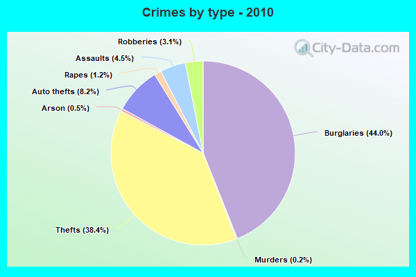 Crimes by type - 2010