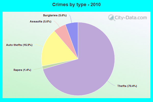 Crimes by type - 2010