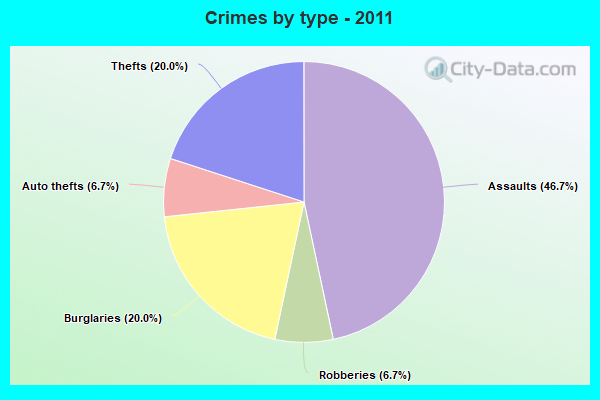 Crimes by type - 2011