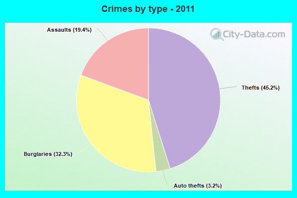 Crimes by type - 2011