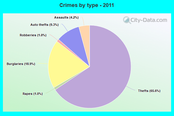 Crimes by type - 2011