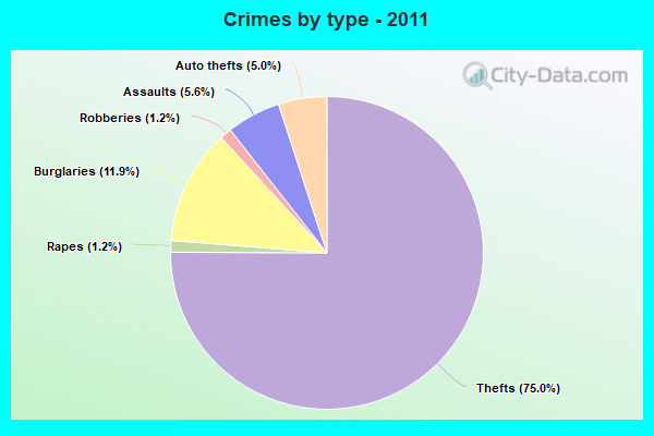 Crimes by type - 2011