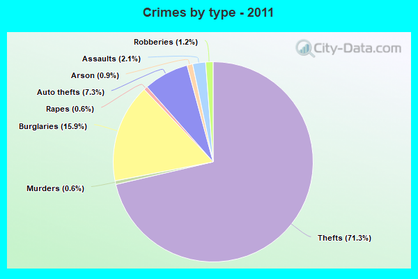 Crimes by type - 2011