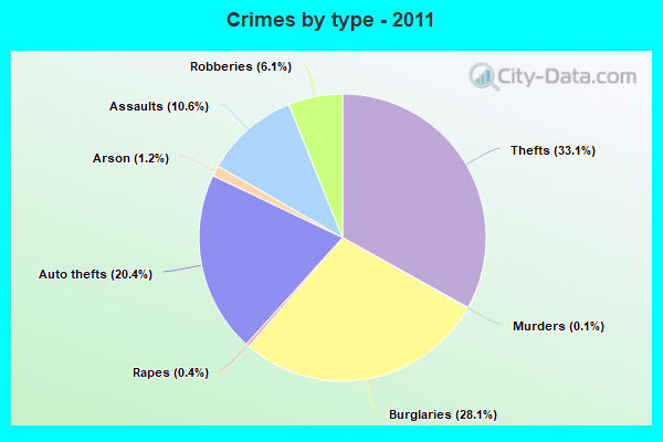 Crimes by type - 2011