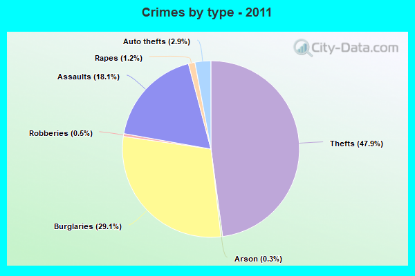 Crimes by type - 2011