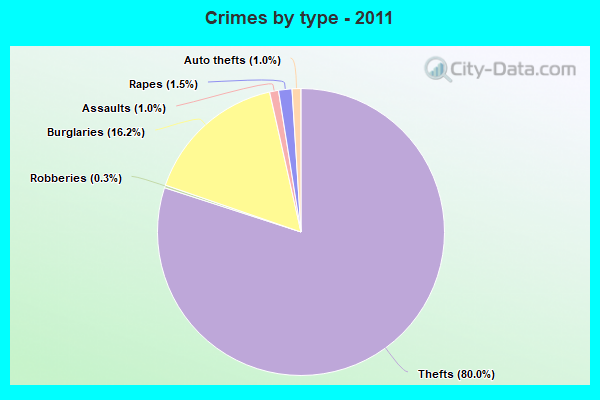 Crimes by type - 2011