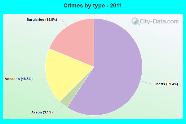 Crimes by type - 2011