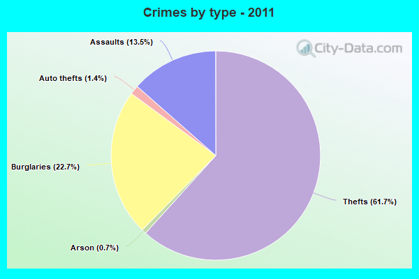 Crimes by type - 2011