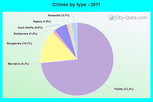 Crimes by type - 2011