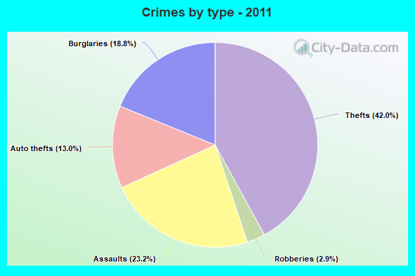 Crimes by type - 2011