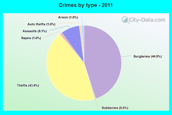 Crimes by type - 2011