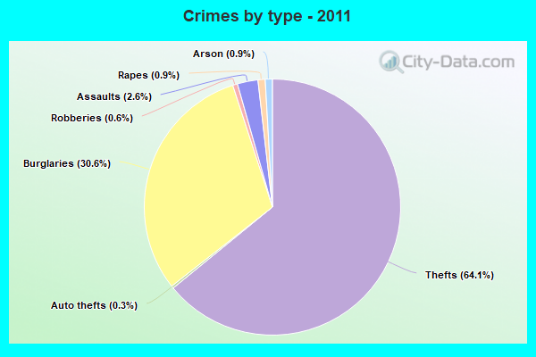 Crimes by type - 2011