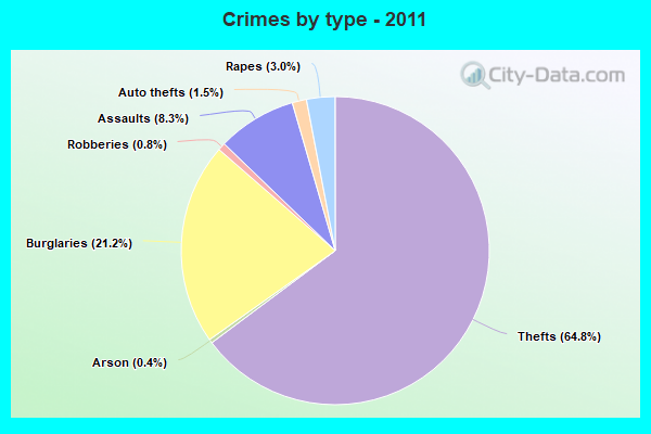 Crimes by type - 2011