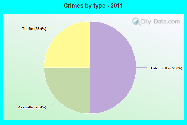 Crimes by type - 2011