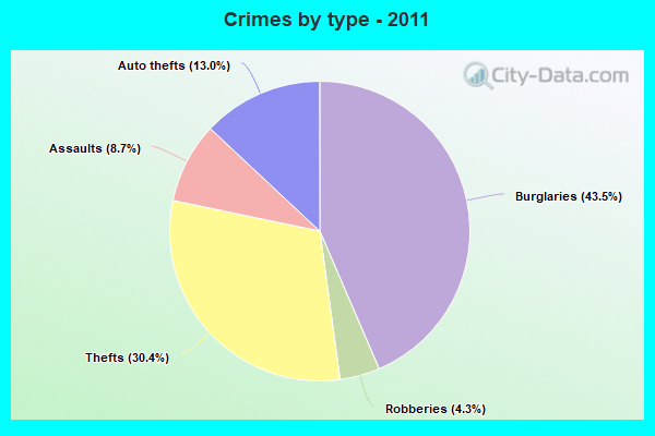 Crimes by type - 2011