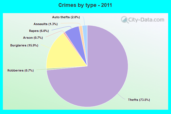 Crimes by type - 2011