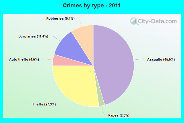 Crimes by type - 2011