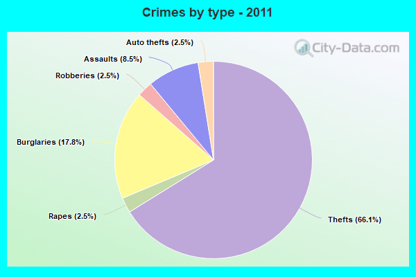 Crimes by type - 2011