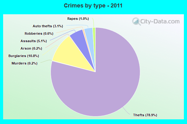 Crimes by type - 2011