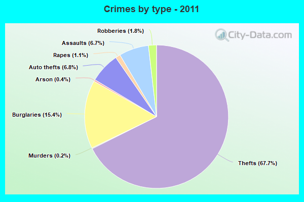 Crimes by type - 2011