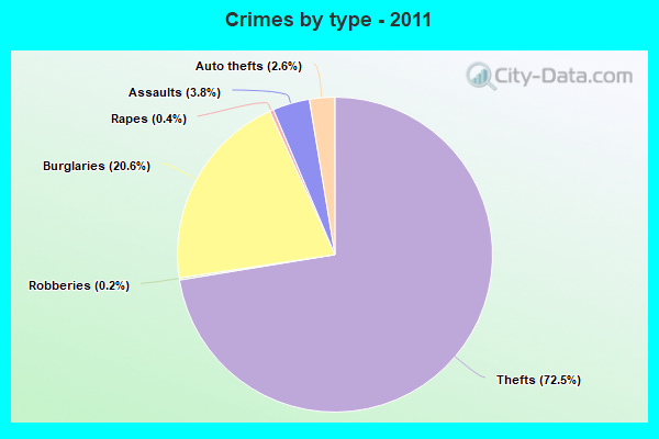 Crimes by type - 2011