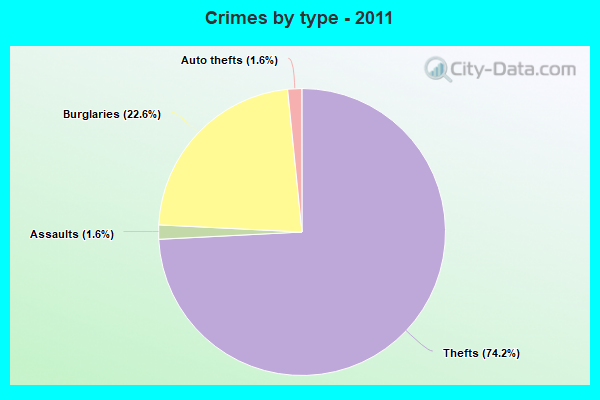 Crimes by type - 2011