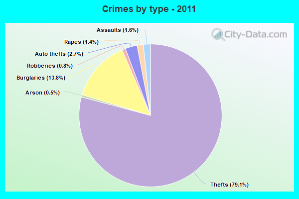 Crimes by type - 2011