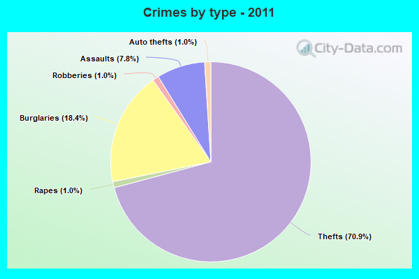 Crimes by type - 2011