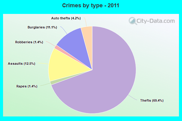 Crimes by type - 2011