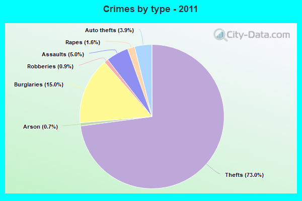 Crimes by type - 2011