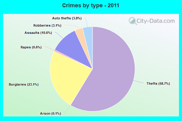 Crimes by type - 2011