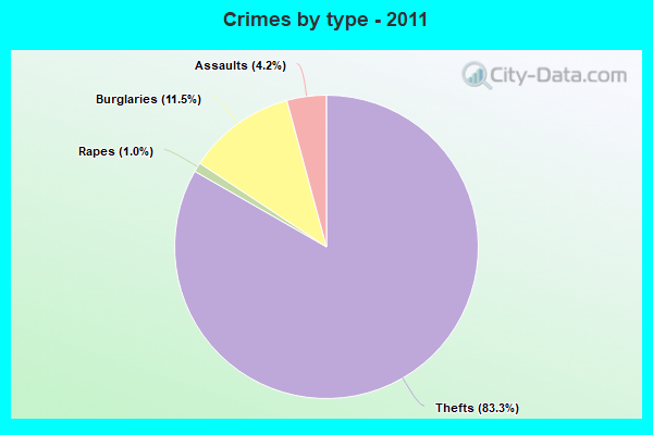 Crimes by type - 2011