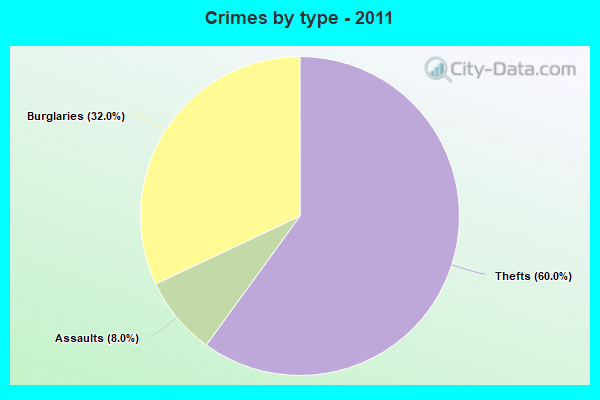 Crimes by type - 2011